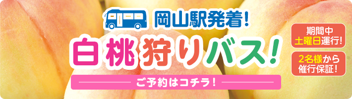 フルーツ狩り