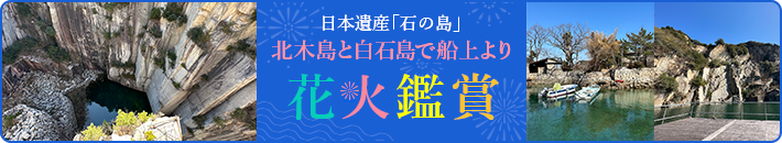 花火鑑賞