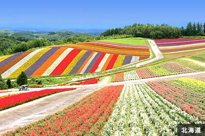 北海道